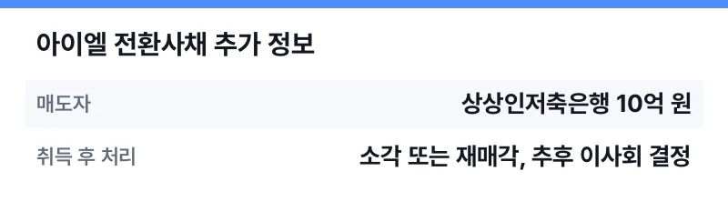 아이엘 전환사채 추가 정보 표