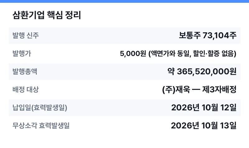 삼환기업 핵심 정리 표